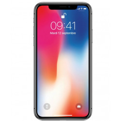 Apple iPhone X (64 Go) - Gris sidéral - Reconditionné