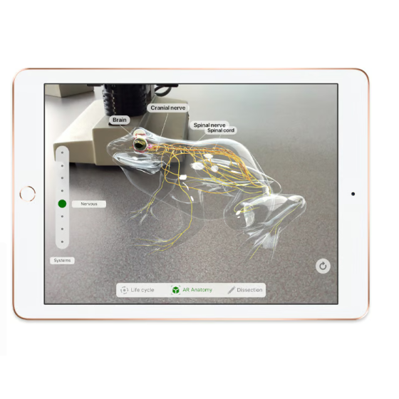 Apple iPad 9.7" 6e génération 2018 (128Go) WiFi - Or - Reconditionné-iPad reconditionné-Simphonee