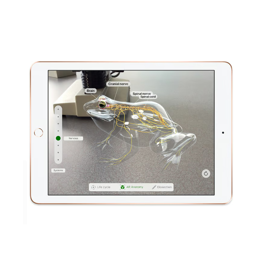 Apple iPad 9.7" 6e génération 2018 (128Go) WiFi - Or - Reconditionn...